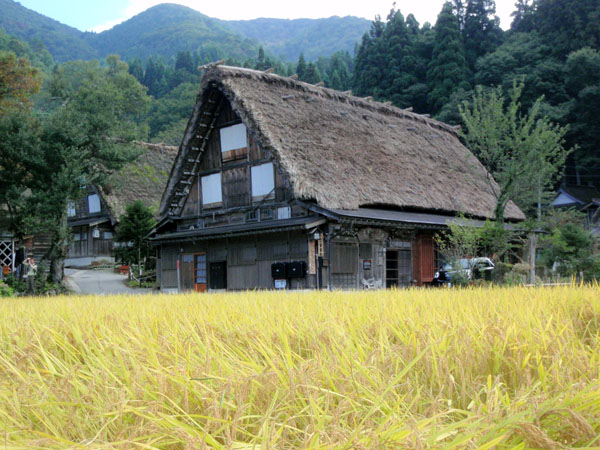 お米と合掌造りの集落